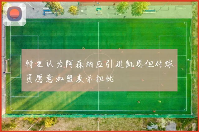 特里认为阿森纳应引进凯恩但对球员愿意加盟表示担忧