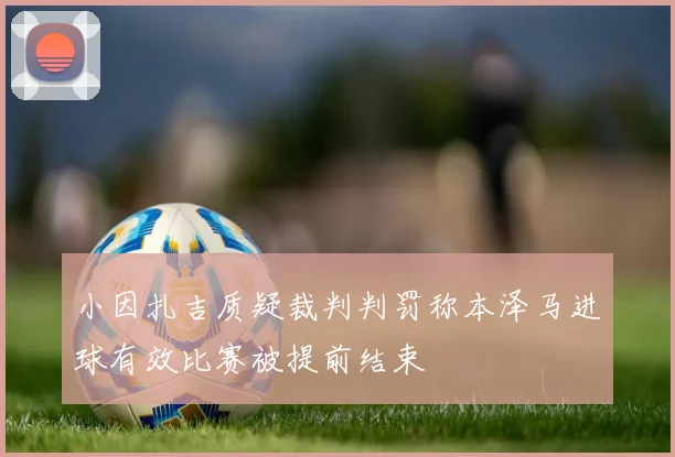 小因扎吉质疑裁判判罚称本泽马进球有效比赛被提前结束